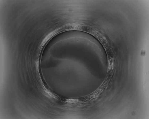 X0000100330051200806121137