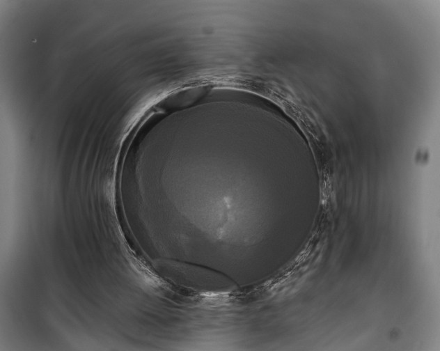 X0000100330052200806121137