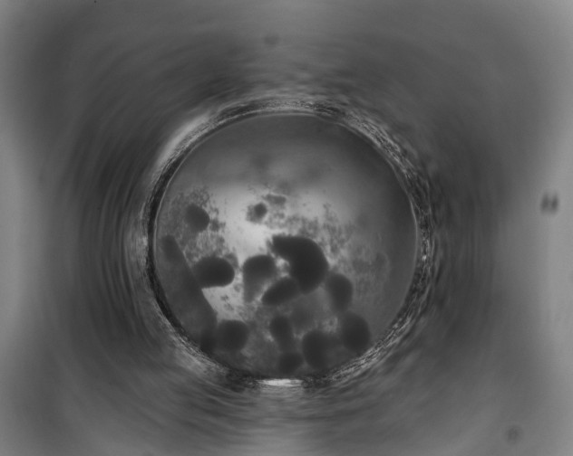 X0000100330053200806121137