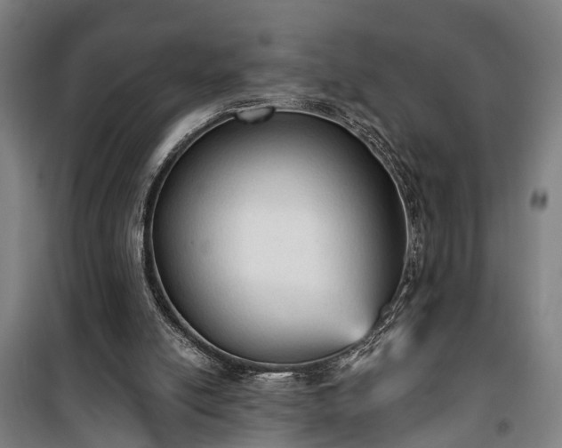 X0000100330054200806121137