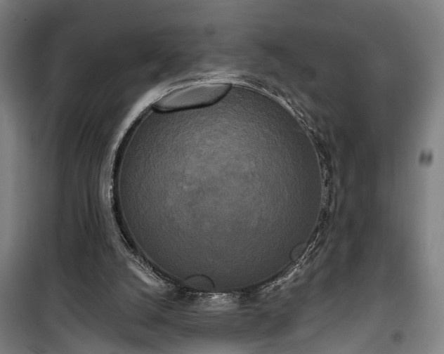 X0000100330056200806121137