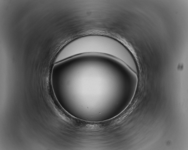 X0000100330057200806121137