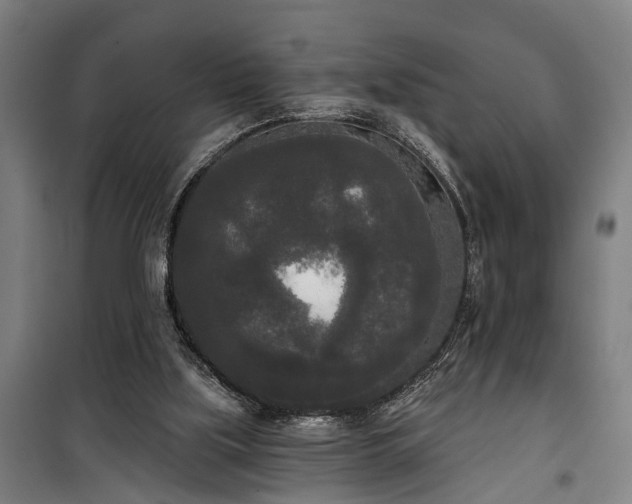 X0000100330059200806121137