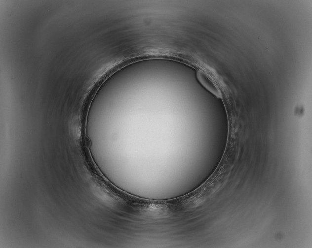 X0000100330060200806121137