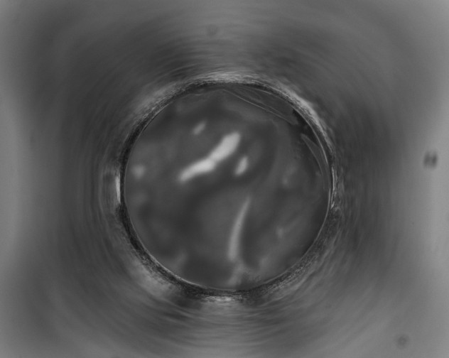 X0000100330061200806121137