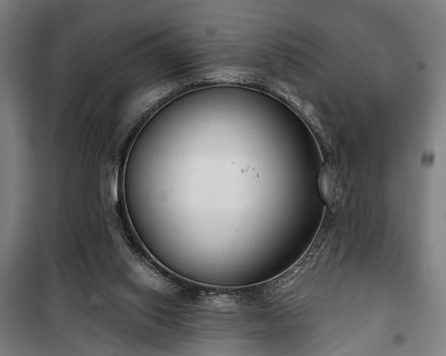 X0000100330062200806121137