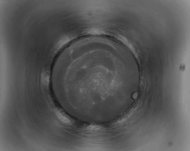 X0000100330063200806121137