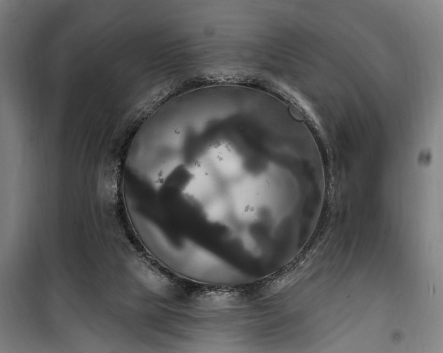 X0000100330065200806121137