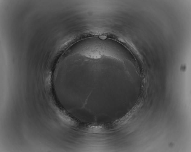 X0000100330066200806121137