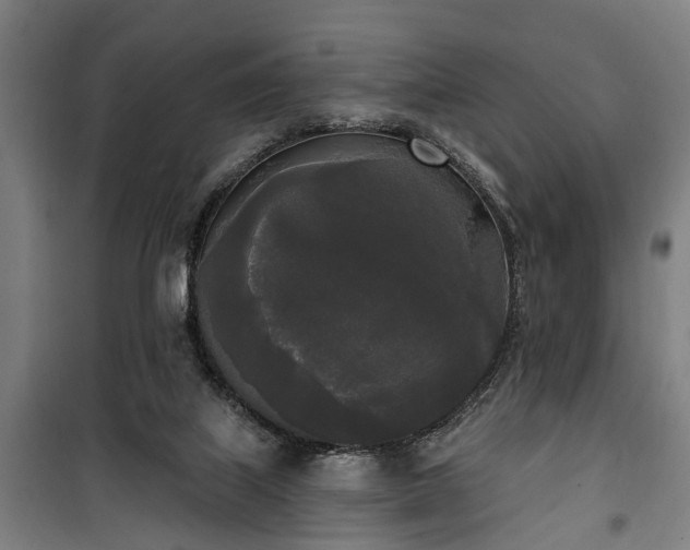 X0000100330067200806121137