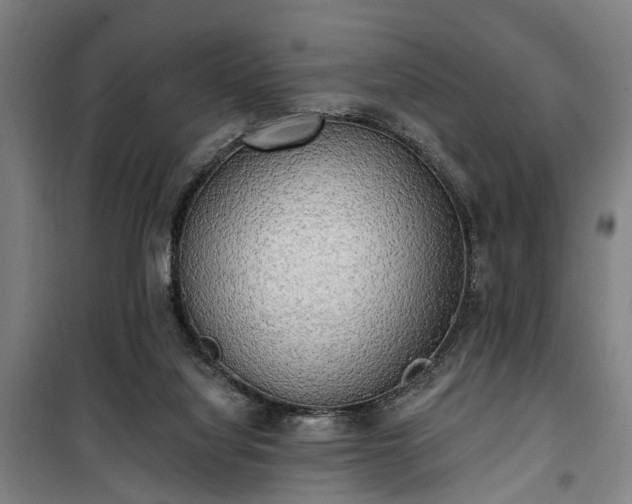 X0000100330068200806121137