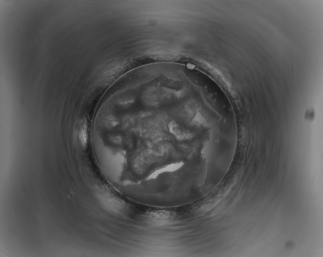 X0000100330069200806121137