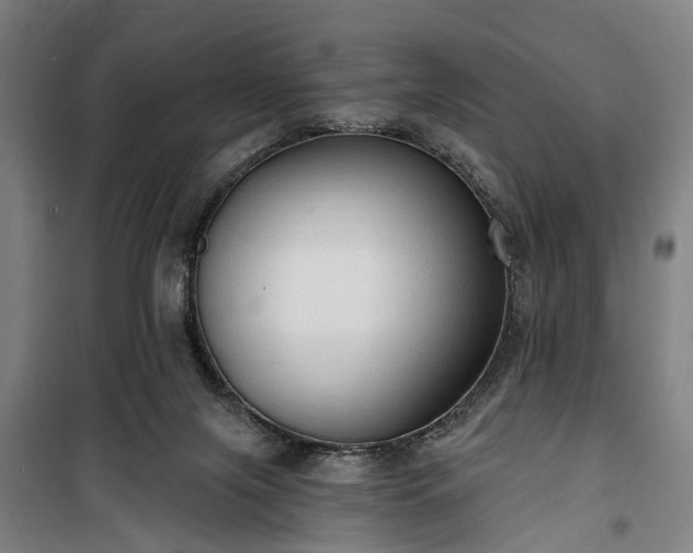 X0000100330071200806121137