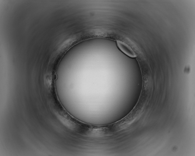 X0000100330072200806121137