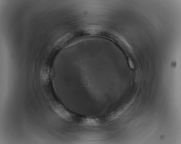 X0000100330073200806121137