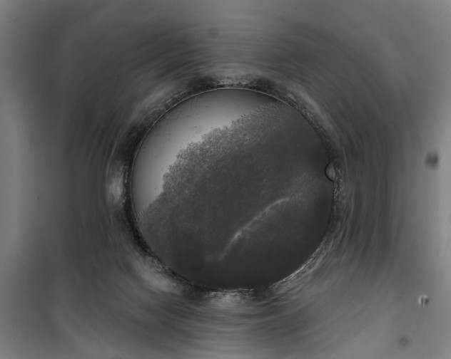 X0000100330074200806121137