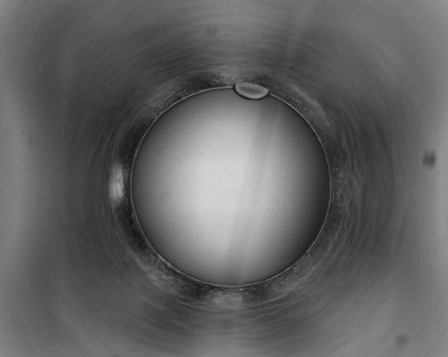 X0000100330075200806121137