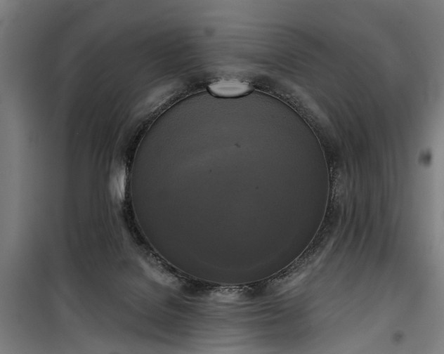 X0000100330076200806121137