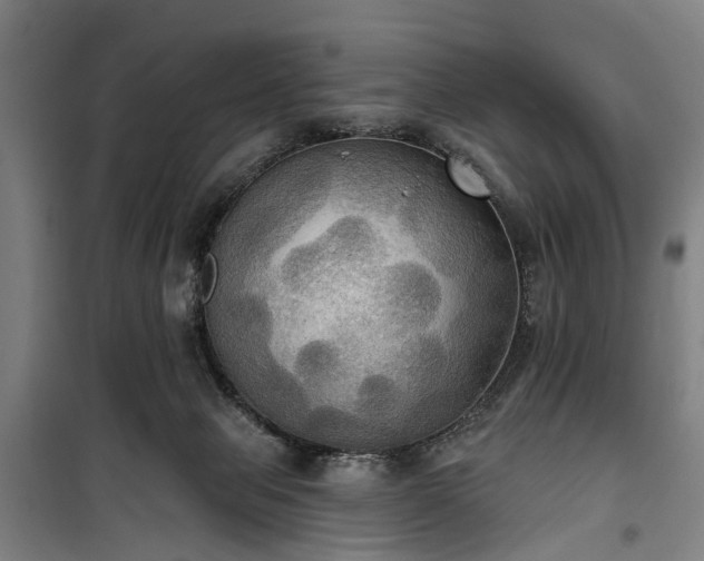 X0000100330077200806121137