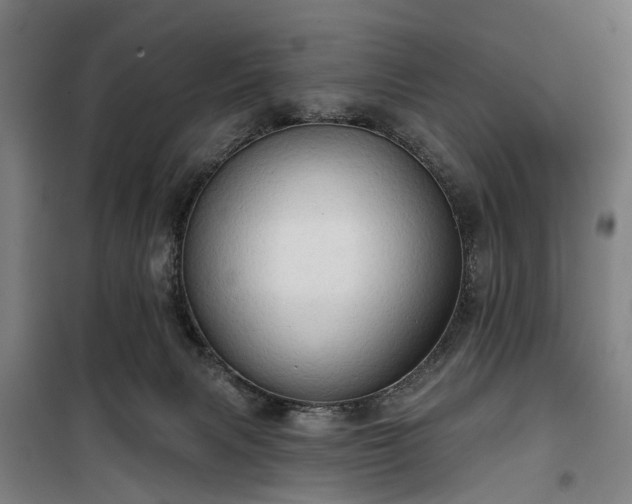 X0000100330079200806121137