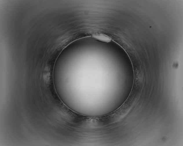 X0000100330080200806121137