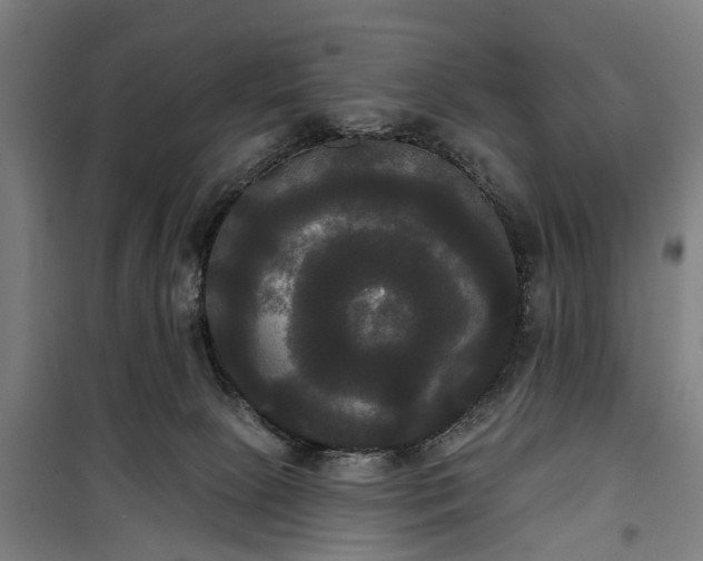 X0000100330081200806121137