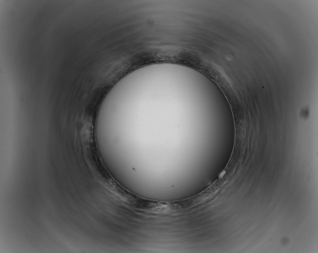 X0000100330083200806121137