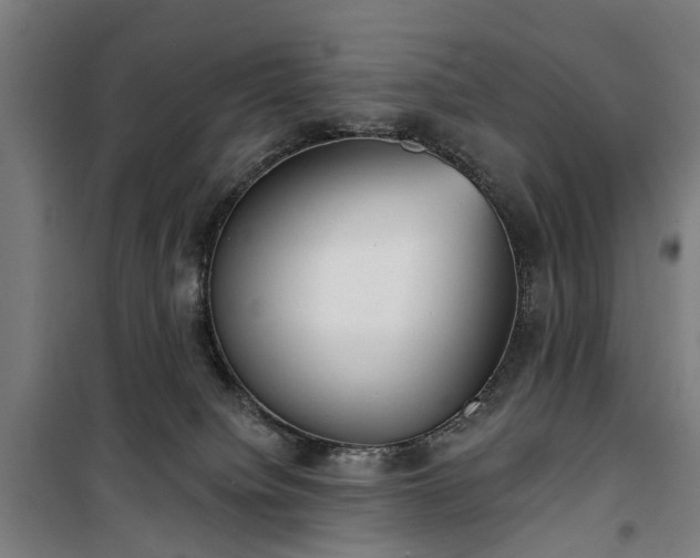 X0000100330084200806121137