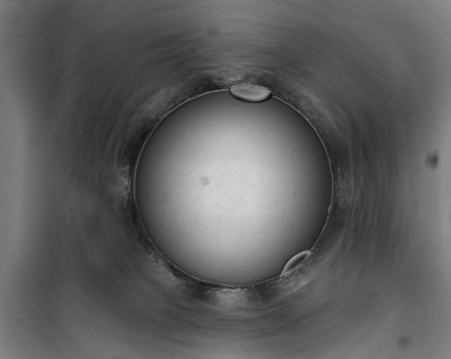 X0000100330085200806121137