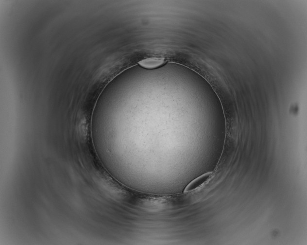 X0000100330086200806121138