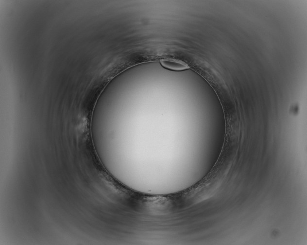 X0000100330087200806121138