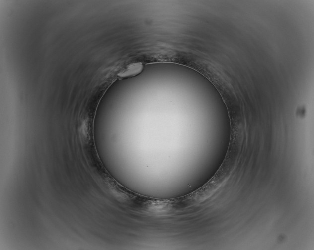 X0000100330088200806121138