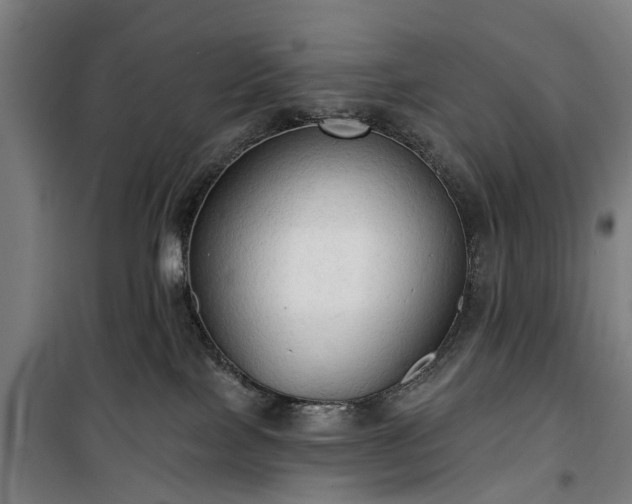 X0000100330089200806121138