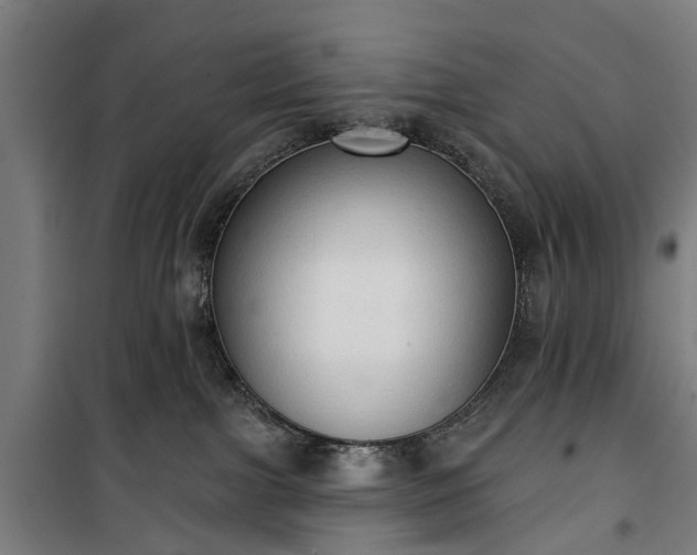 X0000100330091200806121138