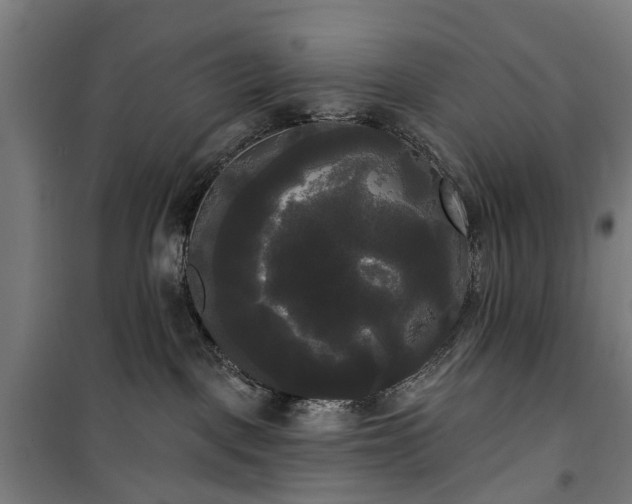 X0000100330093200806121138