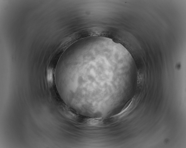 X0000100330094200806121138