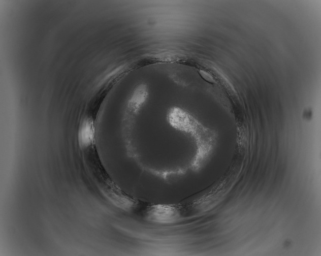 X0000100330095200806121138