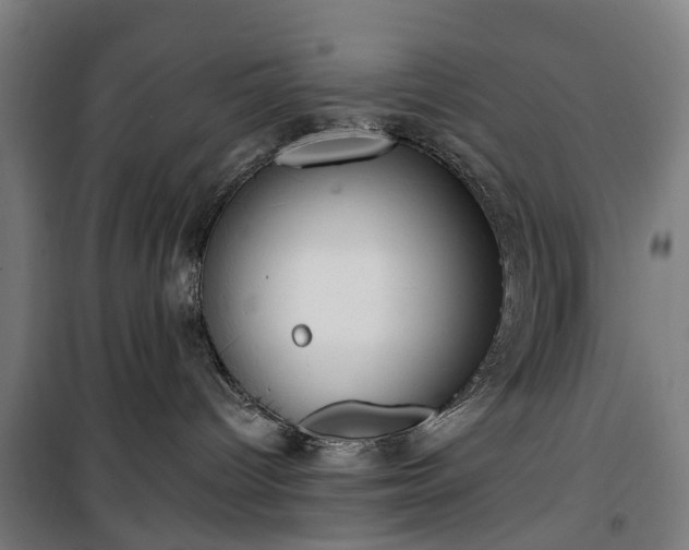 X0000100330096200806121138