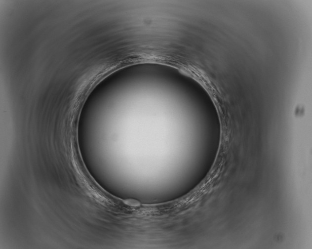 X0000100330097200806121137