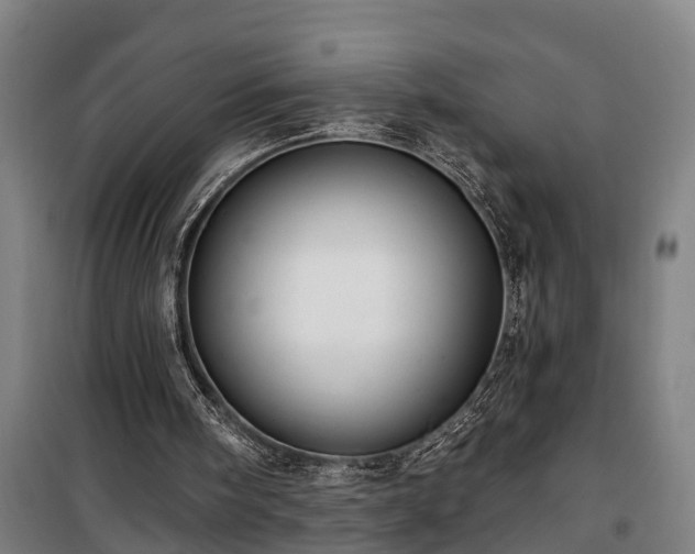 X0000100330098200806121137