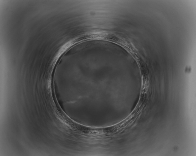 X0000100330099200806121137