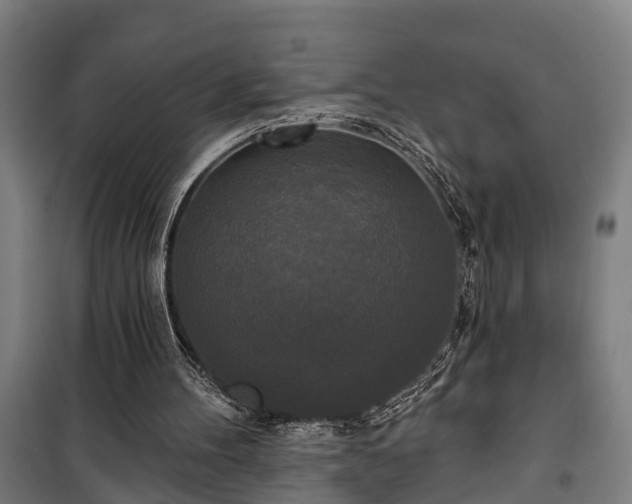 X0000100330100200806121137