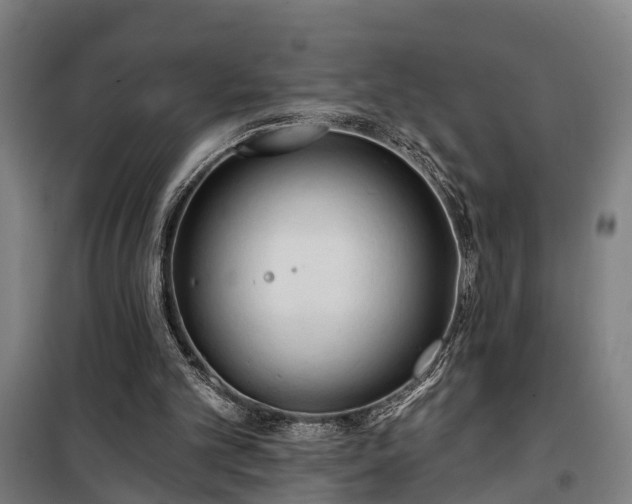 X0000100330101200806121137