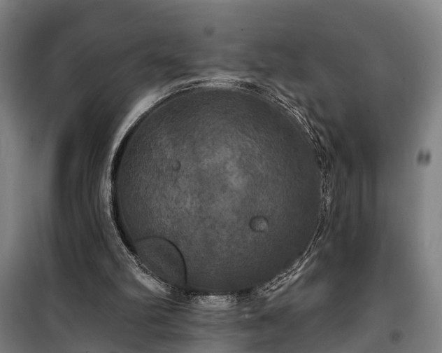 X0000100330102200806121137