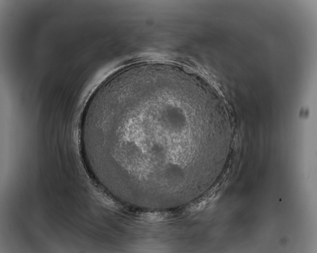 X0000100330103200806121137