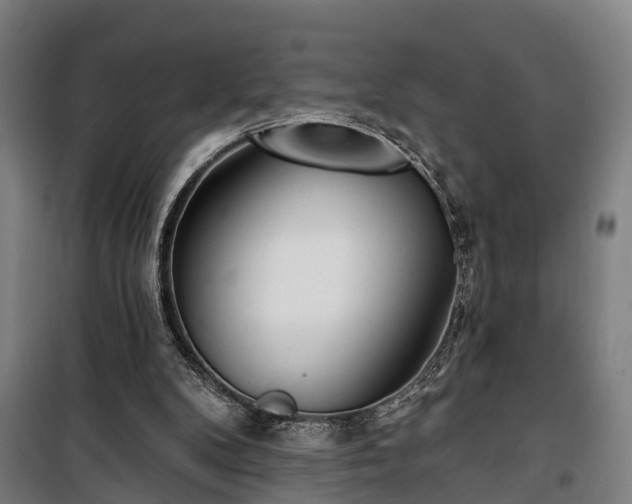 X0000100330104200806121137