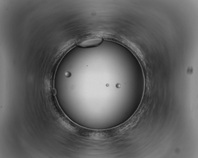 X0000100330105200806121137