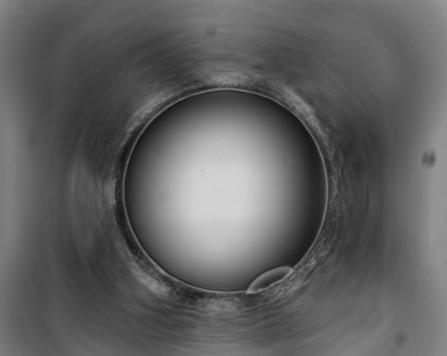 X0000100330106200806121137