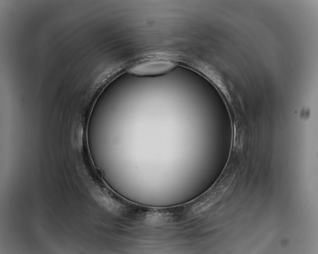 X0000100330109200806121137