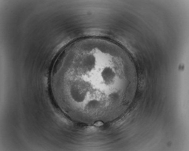 X0000100330111200806121137